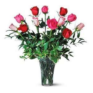 One Dozen Multicolored Roses Grocery & Gourmet Food