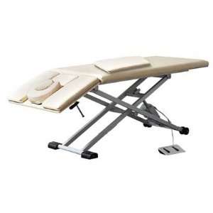  Oakworks   ProLuxe PT200 Electric Therapy Exam Table 