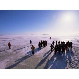  People Walking on Pack Ice, Gulf of Bothnia, Lapland 