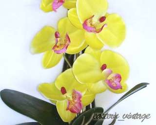 Yellow moth orchid flower Bamboo wall decor Great 7 pic  
