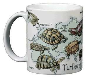 Turtles of the World 11 Oz Coffee Mug Tea Cup Tortoise Terrapin  