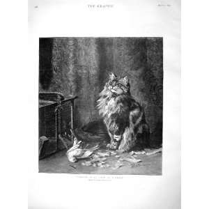    1894 Percy Macquoid Fine Art Cat Dead Bird Cage
