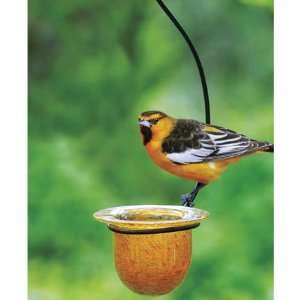  Mandarin Oriole Feeder 4 1/2 x 8 x 15 high Patio, Lawn 