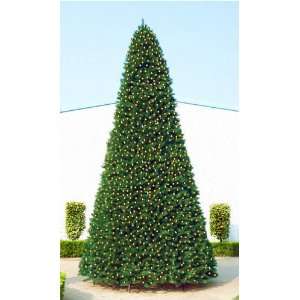27 Giant Pre Lit Commercial Artificial Christmas Tree   Warm White 
