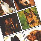 Collage Sheet Various Dogs 35mm Squares (1 Sheet)  