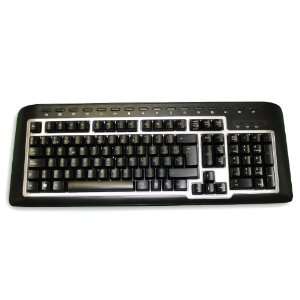   Multimedia Spanish Keyboard Wired PS2 with USB Adapter: Electronics