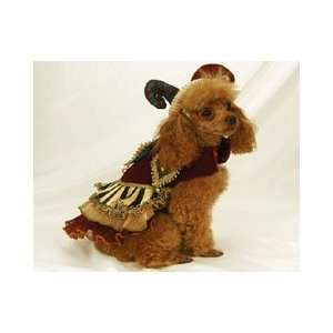  Costume   Katherines Collection Medieval   Jester Girl Dog Costume 
