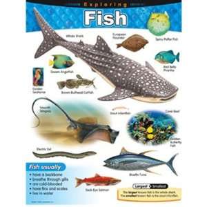    Trend Enterprises T 38183 Chart Exploring Fish Gr 1 5 Toys & Games