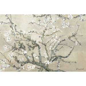  Blossoming Almond Tree, Saint Remy, c.1890   Poster by 